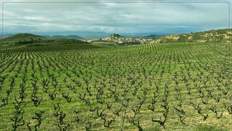 heredad-san-andres-bodegas-cupani-de-san-vicente-de-la-sonsierra